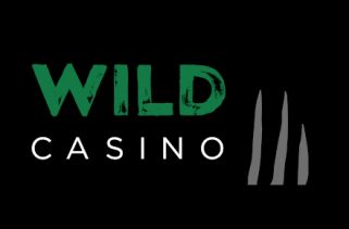 Logo des Casinos Wild