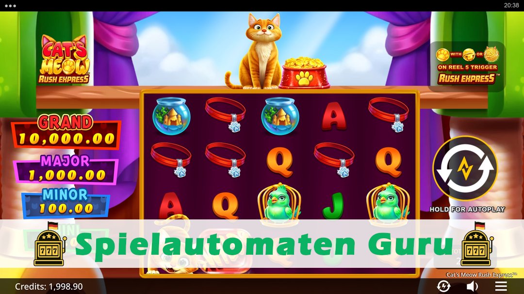 Screenshot der Demo-Version des Spiels Cats Meow Rush Express Demo des Spielautomaten Cats Meow Rush Express