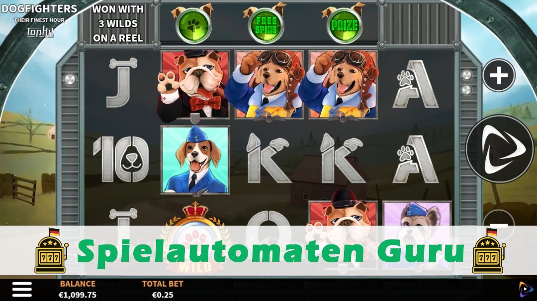 Screenshot der Demo-Version des Spiels Dogfighters - Their Finest Hour Demo des Spielautomaten Dogfighters - Their Finest Hour