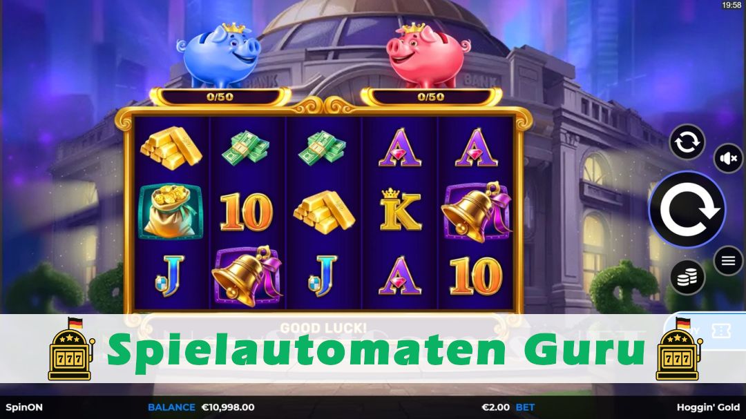 Screenshot der Demo-Version des Spiels Hoggin Gold Demo des Spielautomaten Hoggin Gold