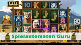 Spielautomat Symbol Lucky Buffalo Megaways (Reevo) Slot