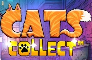 Spielautomat Symbol Cats Collect