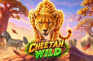 Spielautomat Symbol Cheetah Wild