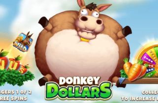 Spielautomat Symbol Donkey Dollars