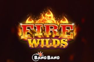 Spielautomat Symbol Fire Wilds