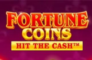 Spielautomat Symbol Fortune Coins