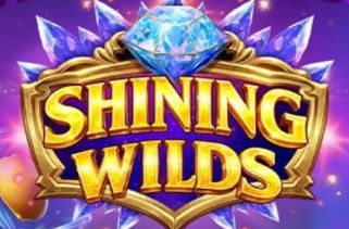 Spielautomat Symbol Shining Wilds