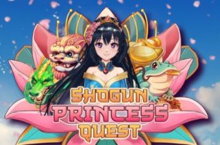 Spielautomat Symbol Shogun Princess Quest