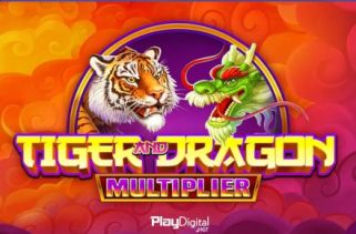 Spielautomat Symbol Tiger and Dragon Multiplier