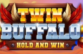 Spielautomat Symbol Twin Buffalo Hold and Win