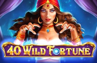 Spielautomat Symbol Wild Fortune